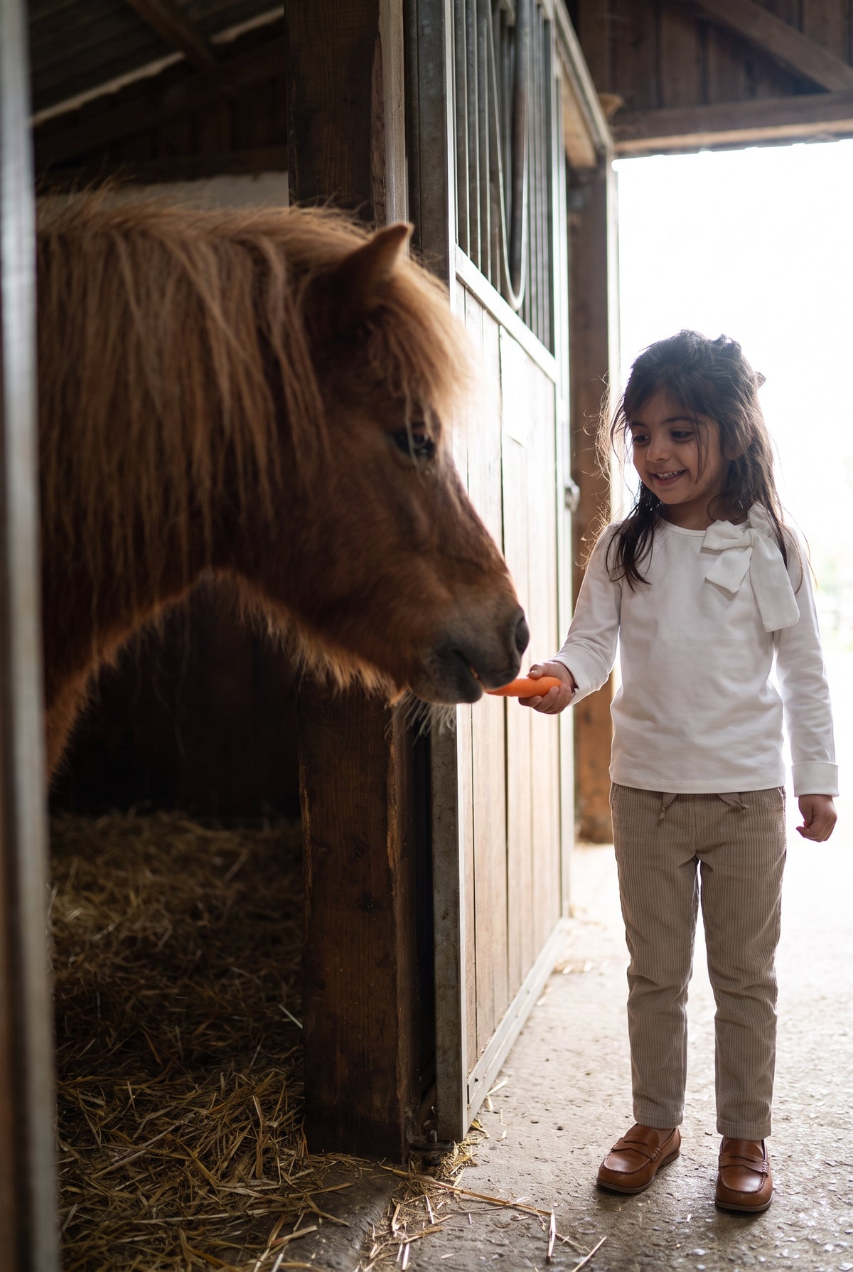 Tremezzo longsleeve